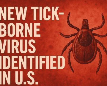 How to Apply for a Master’s Degree in China